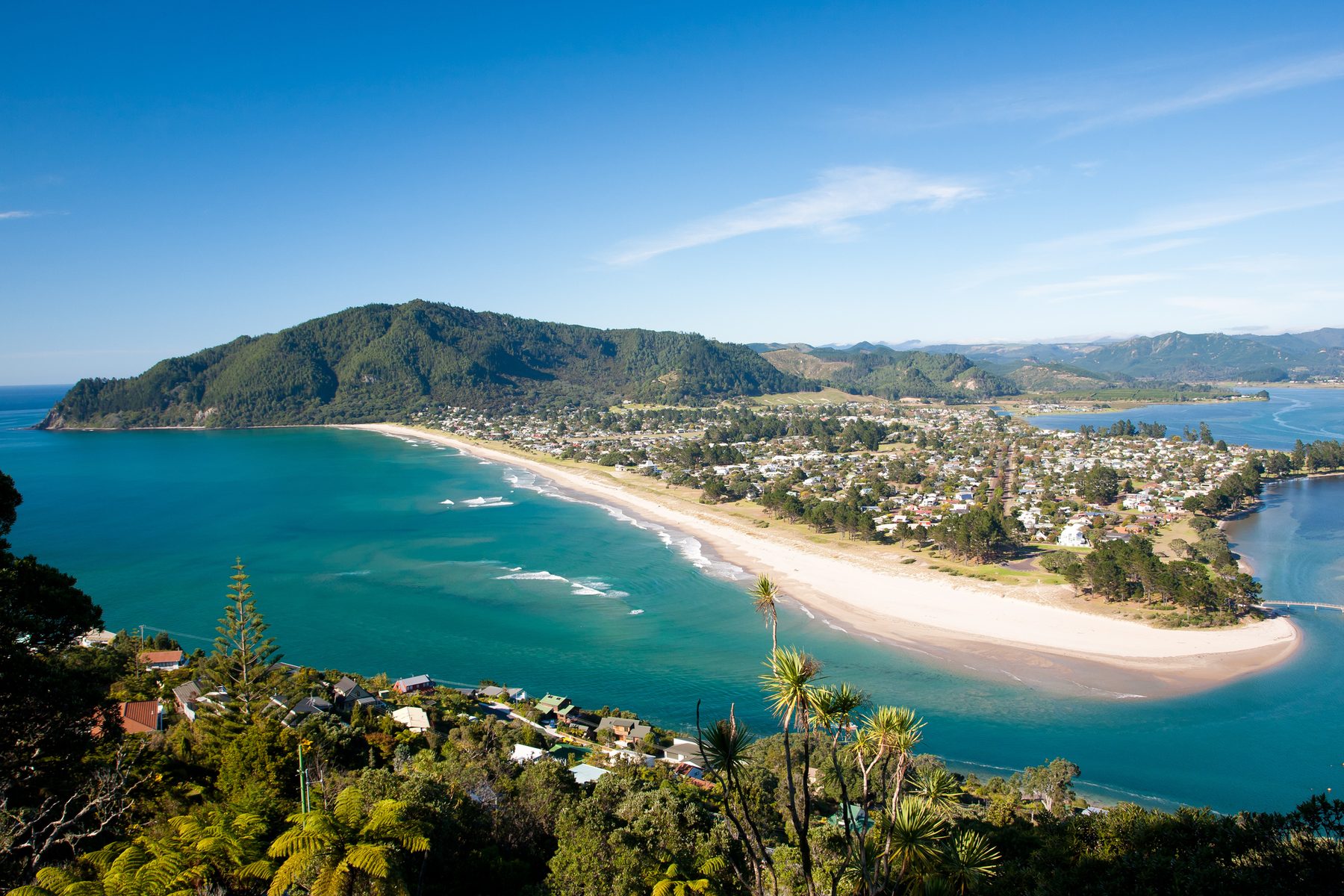Auckland property